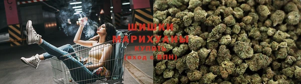 каннабис Алзамай